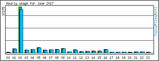 Hourly usage